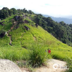 The Famous Broga Hill - The Daily Roar