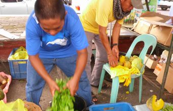 Davao Organic Market And The Anti-GMO Movement