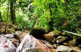 Working out in beautiful surroundings?! Go hiking in the jungles near KL!
