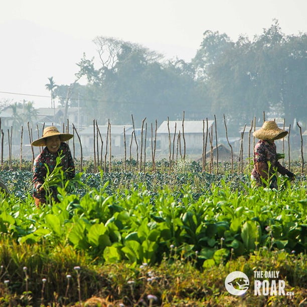 myanmar_trek2