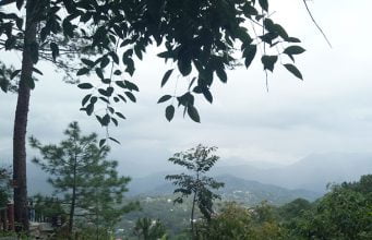 Mines View Park – Baguio City’s Heartthrob