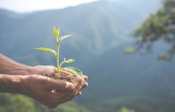 5 Asian Countries That Are Making A Difference In Sustainability